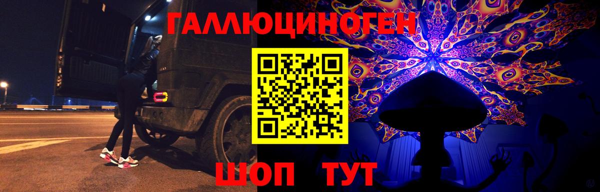 Галлюциногенные грибы прущие грибы Ростов-на-Дону